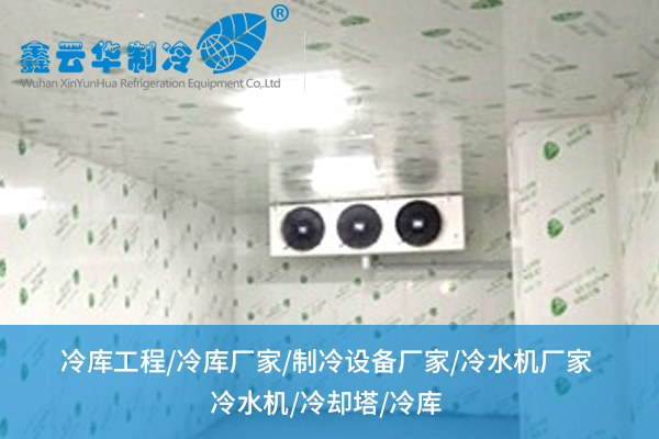 浙江超市冷庫(kù)搭建怕踩雷？從選材到布局的“保鮮法則”全在這兒！